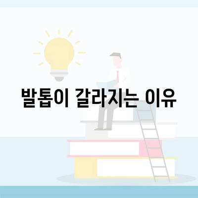 발톱이 갈라지는 이유