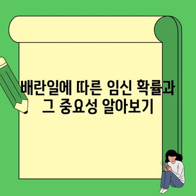 배란일에 따른 임신 확률과 그 중요성 알아보기