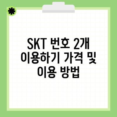 SKT 번호 2개 이용하기 가격 및 이용 방법