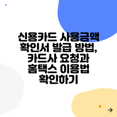 신용카드 사용금액 확인서 발급 방법, 카드사 요청과 홈택스 이용법 확인하기