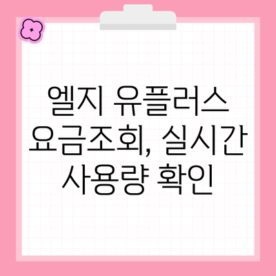 엘지 유플러스 요금조회, 실시간 사용량 확인