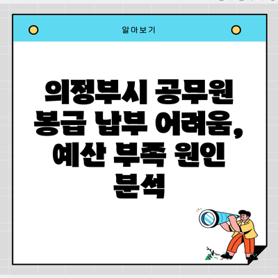 의정부시 공무원 봉급 납부 어려움, 예산 부족 원인 분석