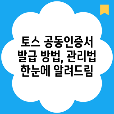 토스 공동인증서 발급 방법, 관리법 한눈에 알려드림