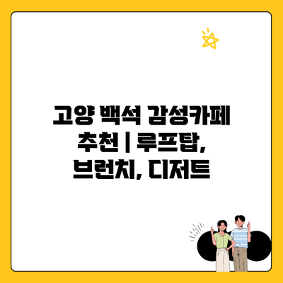 고양 백석 감성카페 추천 | 루프탑, 브런치, 디저트