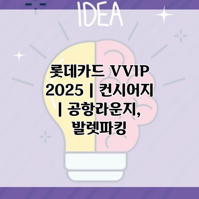 롯데카드 VVIP 2025 | 컨시어지 | 공항라운지, 발렛파킹