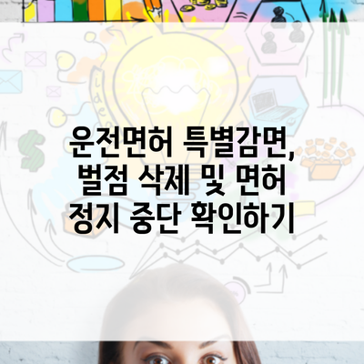 운전면허 특별감면, 벌점 삭제 및 면허 정지 중단 확인하기