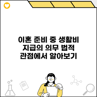 이혼 준비 중 생활비 지급의 의무 법적 관점에서 알아보기