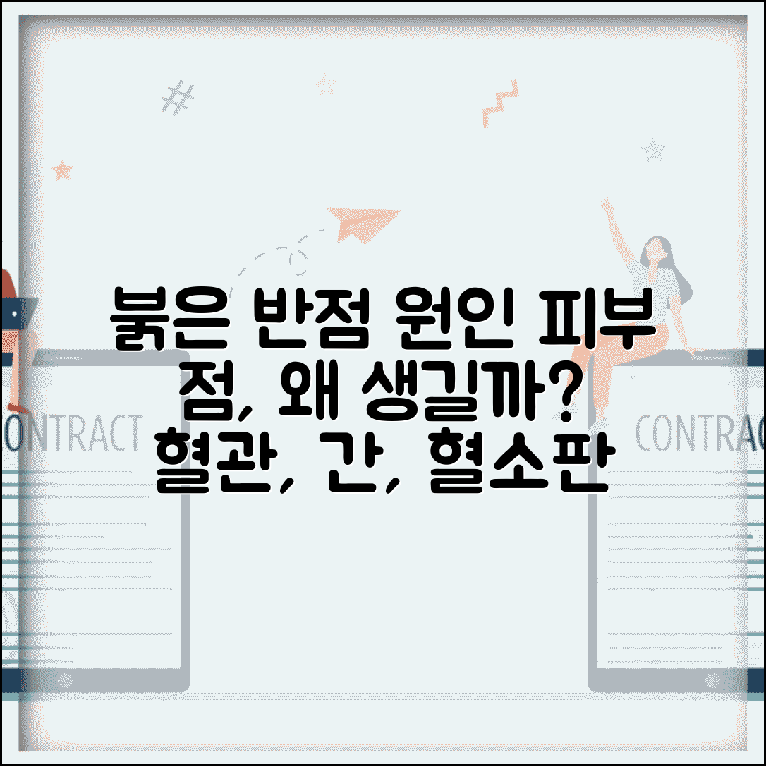 붉은 반점 원인 팔 다리 몸 | 피부 붉은 점 원인 혈관 간 혈소판