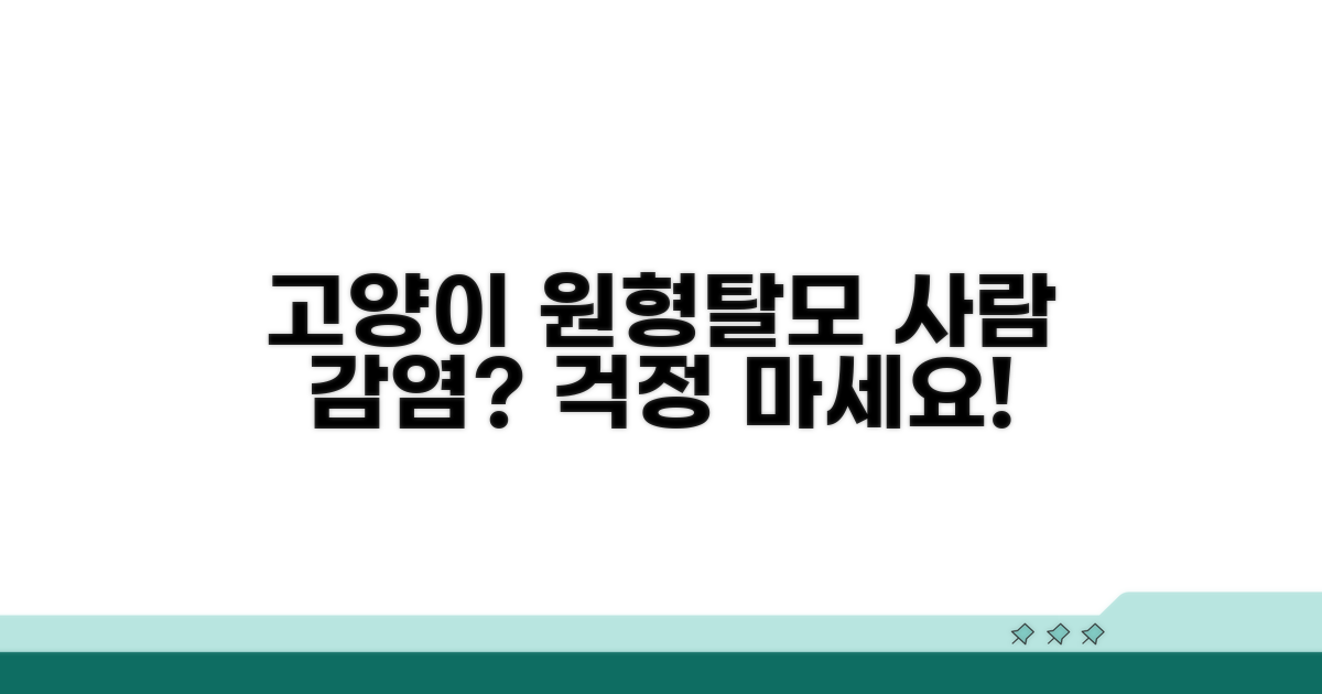 고양이 원형탈모, 사람에게 옮을까?