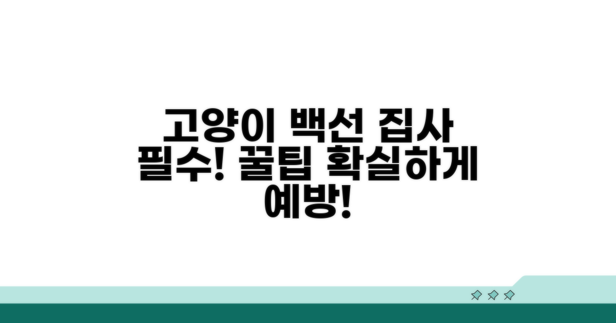 일상 속 고양이 백선 예방 꿀팁