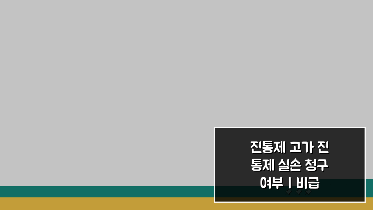 진통제 고가 진통제 실손 청구 여부 | 비급여 통증 약물 보험 적용 가능할까?