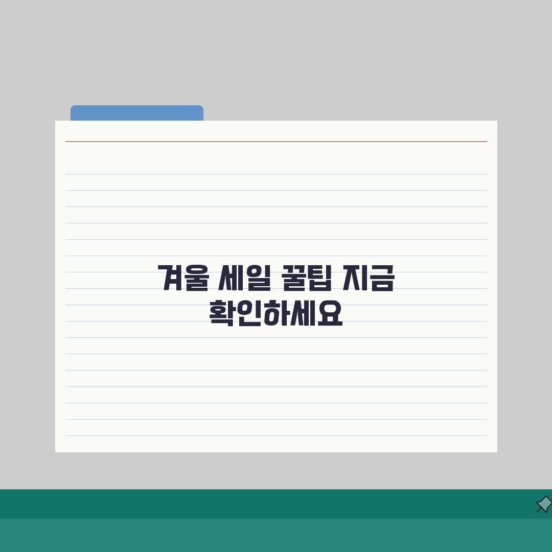 올리브영 겨울 월말세일 2026 1+1 행사 특가 체험기